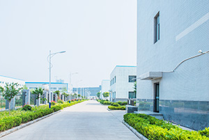 自公司成立以來，以振興和發(fā)展我國貴金屬催化劑和催化工藝為己任，已研究、開發(fā)出了活性炭負載，氧化物負載，有機物負載貴金屬催化劑，均相催化劑，手性催化劑，專用催化劑等上百種催化劑，以及一百多種催化合成/反應(yīng)工藝技術(shù)。